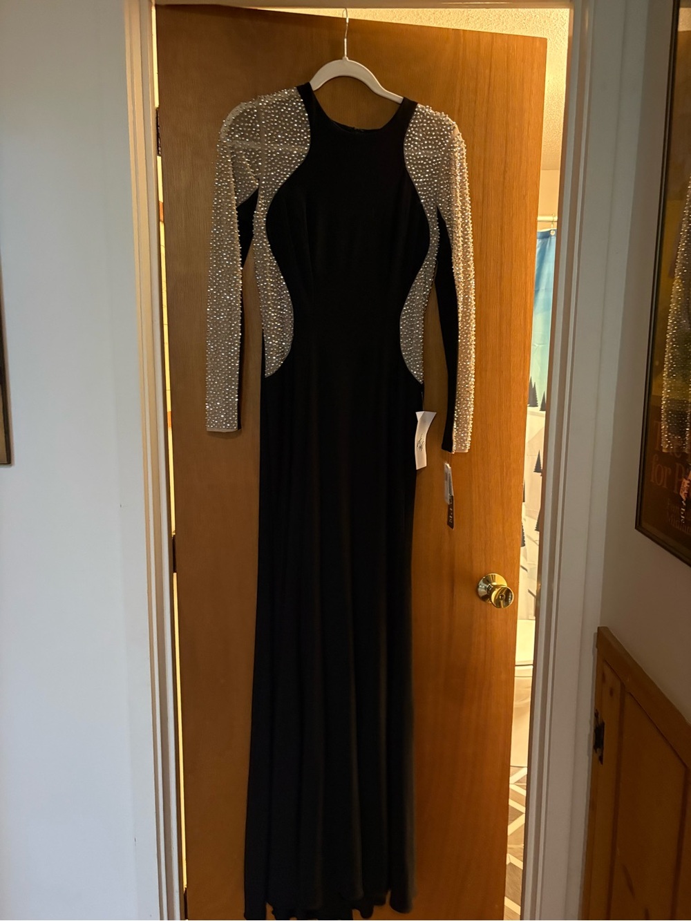 Xscape Black Evening Gown with Silver Crystal-Embellished Sleeves